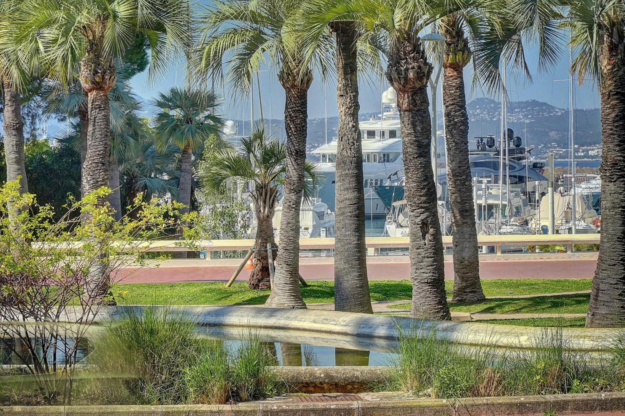 Le Palm - 100M Plage - Croisette - Verriere Cote D'Azur Cannes Kültér fotó